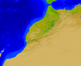 Morocco Vegetation 1600x1307